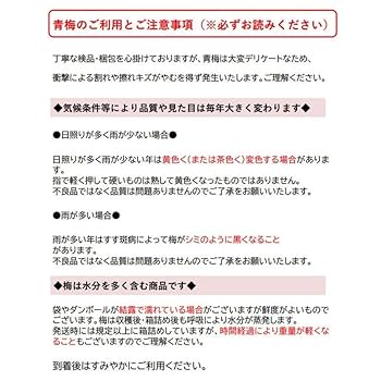 もちさま専用 南高梅 Lサイズ以上★秀品【約10KG】 梅 南高梅 産地厳選 秀品 4Lサイズ 10kg なんこう うめ 生梅